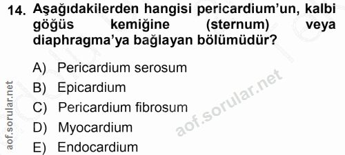 Soru 14