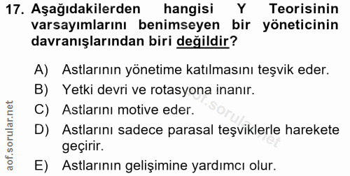 Soru 17