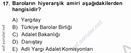 Soru 17