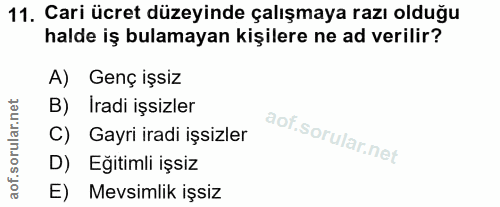 Soru 11