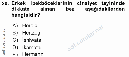 Soru 20