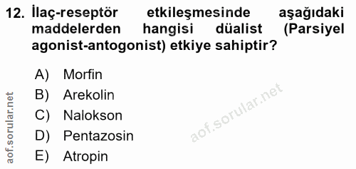 Soru 12