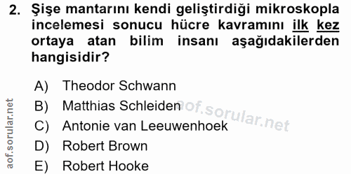 Soru 2