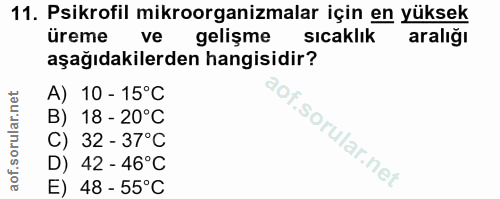 Soru 11