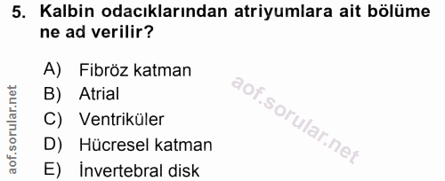 Soru 5