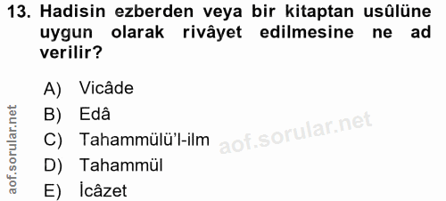 Soru 13