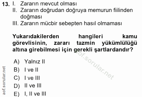 Soru 13