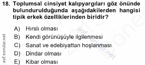 Soru 18
