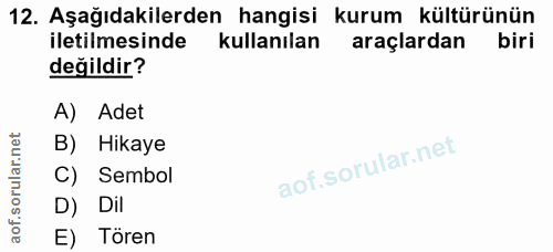 Soru 12