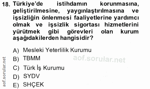 Soru 18