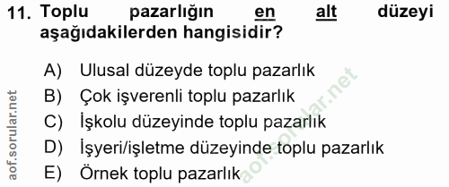 Soru 11