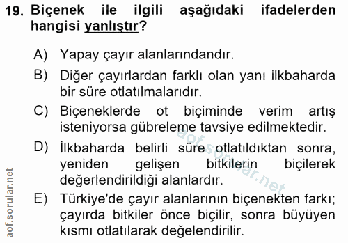 Soru 19