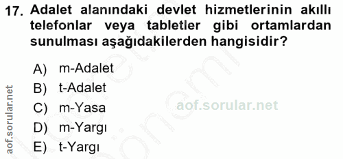 Soru 17