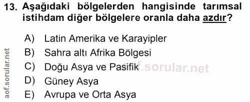Soru 13