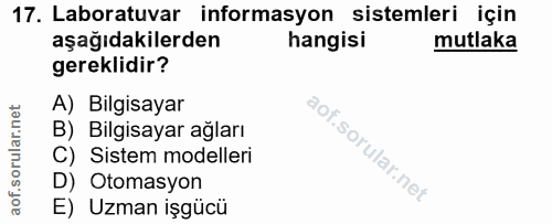 Soru 17