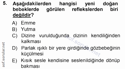 Soru 5