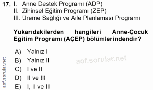 Soru 17