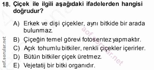 Soru 18