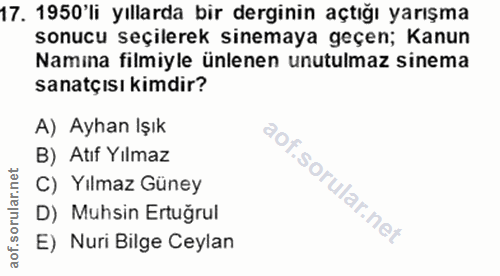 Soru 17