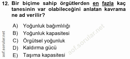 Soru 12
