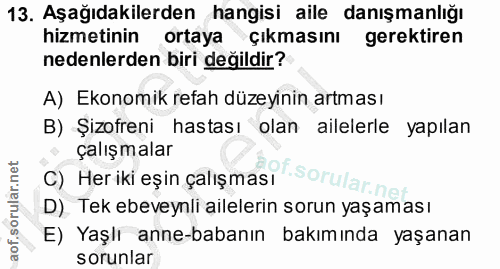 Soru 13