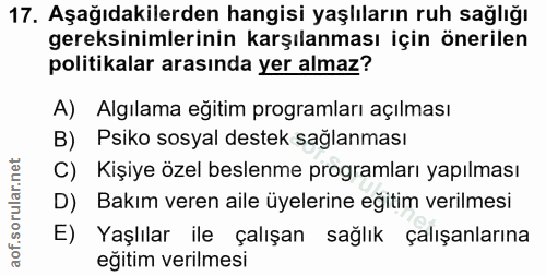 Soru 17