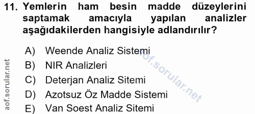 Soru 11