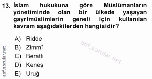 Soru 13