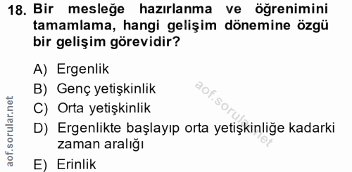 Soru 18