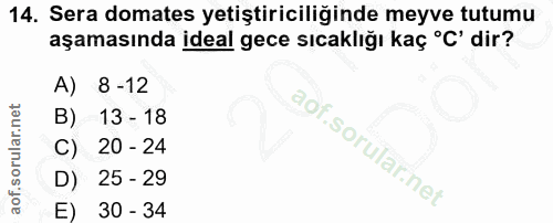 Soru 14