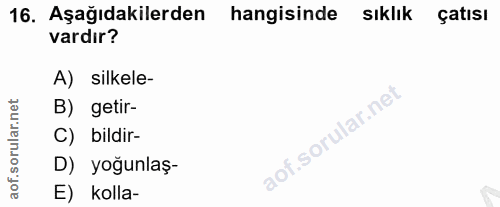 Soru 16