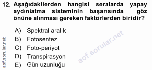 Soru 12
