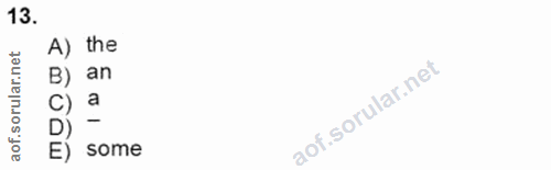Soru 13