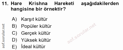 Soru 11
