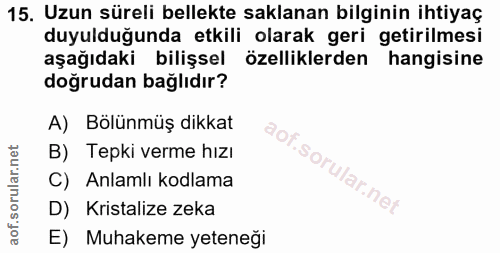 Soru 15