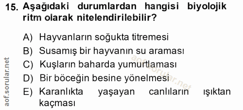 Soru 15