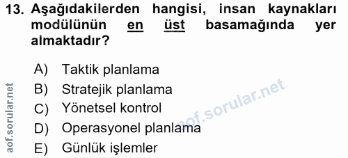 Soru 13