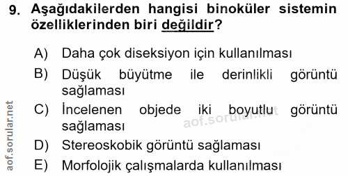 Soru 9