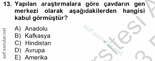 Soru 13