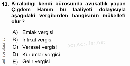 Soru 13