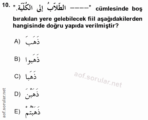 Soru 10