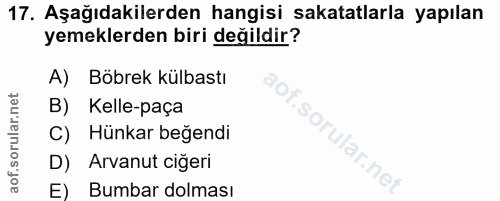 Soru 17