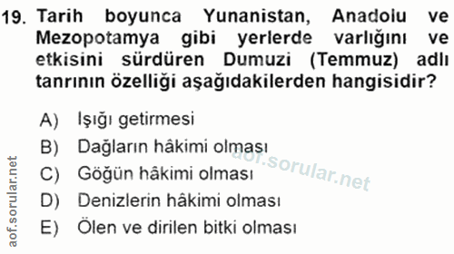 Soru 19