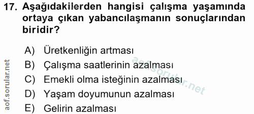 Soru 17