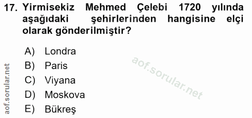 Soru 17