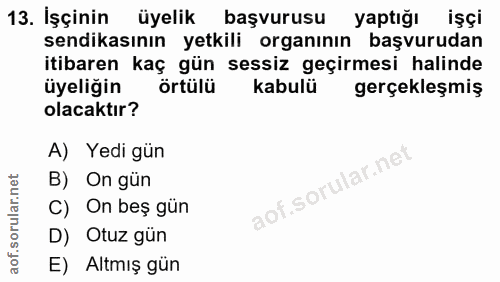 Soru 13