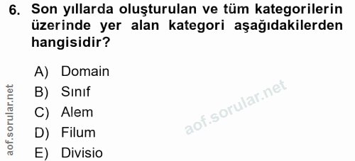 Soru 6
