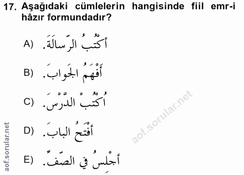 Soru 17