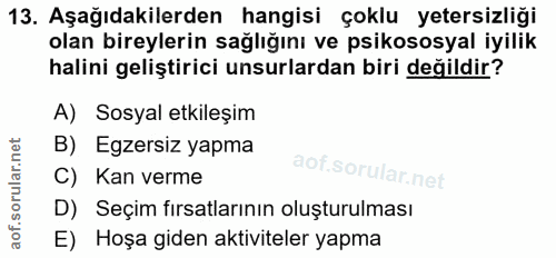 Soru 13