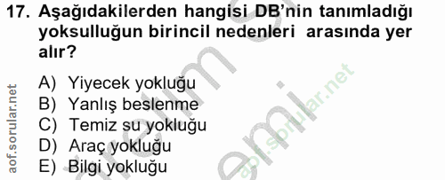 Soru 17